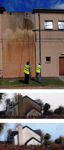 Tree Spade